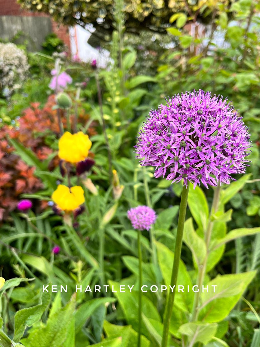 🌱Ken Hartley tweet media