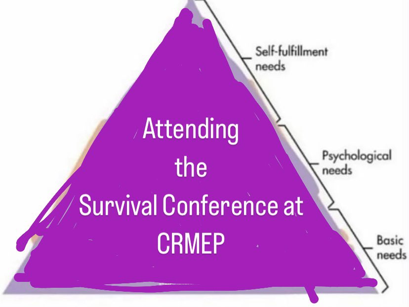 chrisjnewlove's tweet photo. @CRMEP @KingstonUni survival conference #philosophy #radicalphilosophy https://t.co/Rea3zxAV3V
