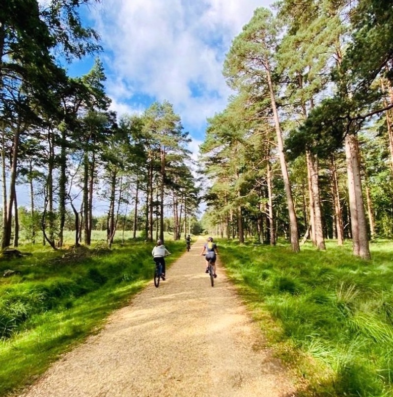 With the bank holiday looming, why not get in early and pre book bikes in the New Forest! 🌳

Cyclexperience is in the heart of the forest and caters for all ages and abilities, which makes a day out with us equally enjoyable for the whole family!