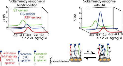 ACS Analytical Chemistry Journals (@an_chem) on Twitter photo <a href="/LazenbyLab/">Lazenby Lab @FSU</a> demonstrates the selective modification of Au surfaces with aptamers in a microelectrode sensor array for simultaneous detection of multiple analytes. Learn more: go.acs.org/4U4 <a href="/LazenbyLab/">Lazenby Lab @FSU</a> demonstrates the selective modification of Au surfaces with aptamers in a microelectrode sensor array for simultaneous detection of multiple analytes. Learn more: go.acs.org/4U4