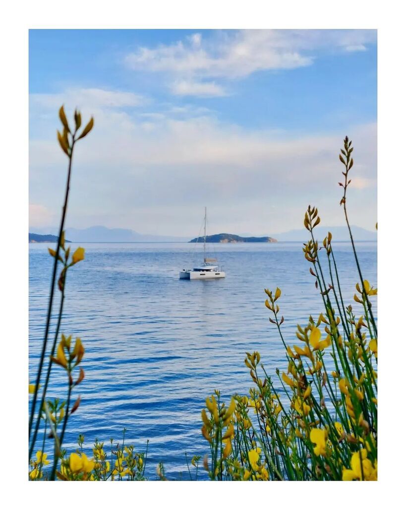 Colors of summer 💙💛
.
.
.
#aegean #sea #sporades #greece #exploregreece #explore #travel #travelgram #traveler #wanderlust #wander #instatravel #instatraveler #instaexplore #instagreece #vacation #holidays #adventure #travelphotography #skiathos instagr.am/p/CsWgt2PoJXP/