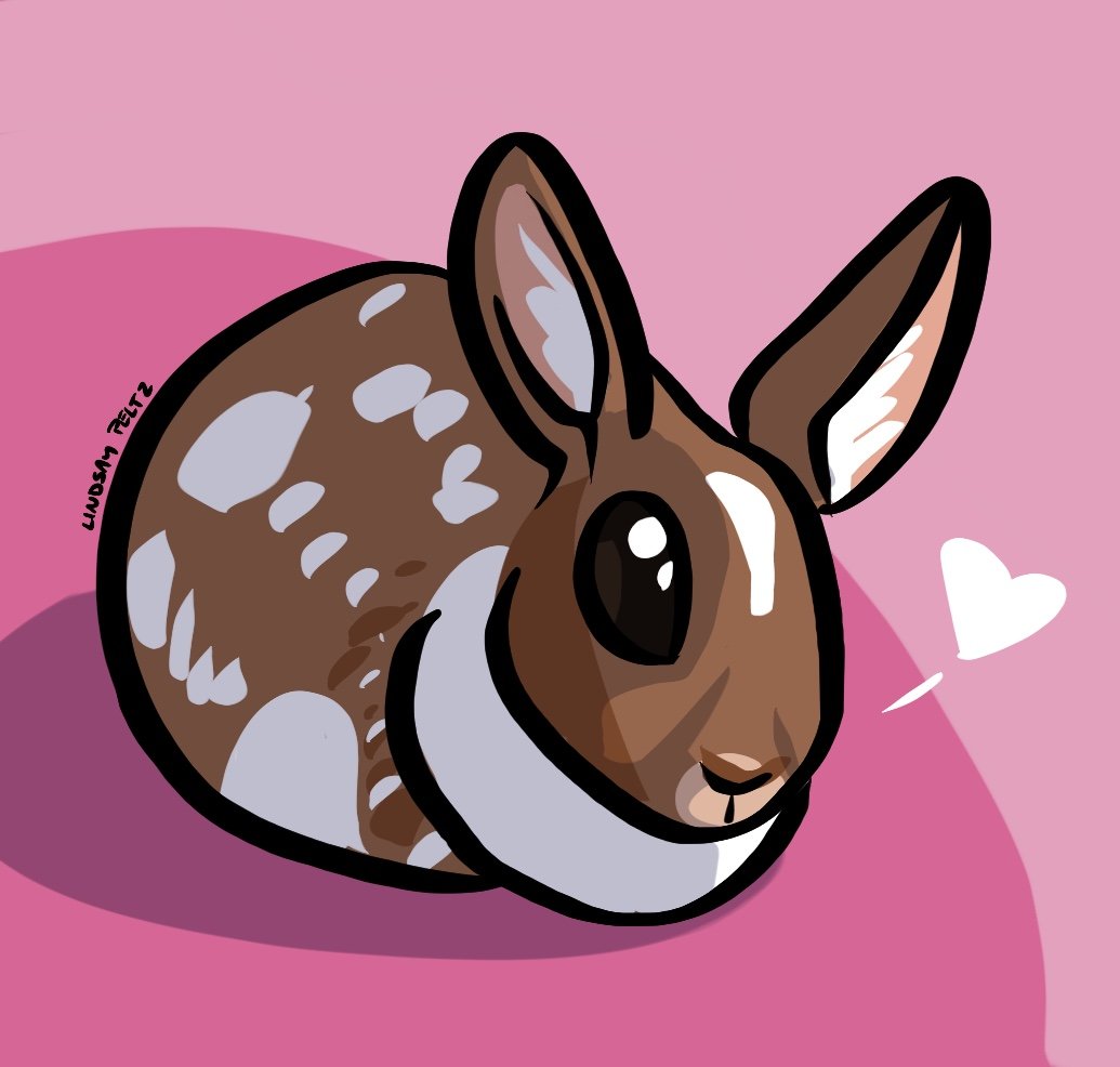 I'm pretty sure this bunny is part baby deer <a href="/theclowntownttv/">val & gus 🕊️🍉</a>