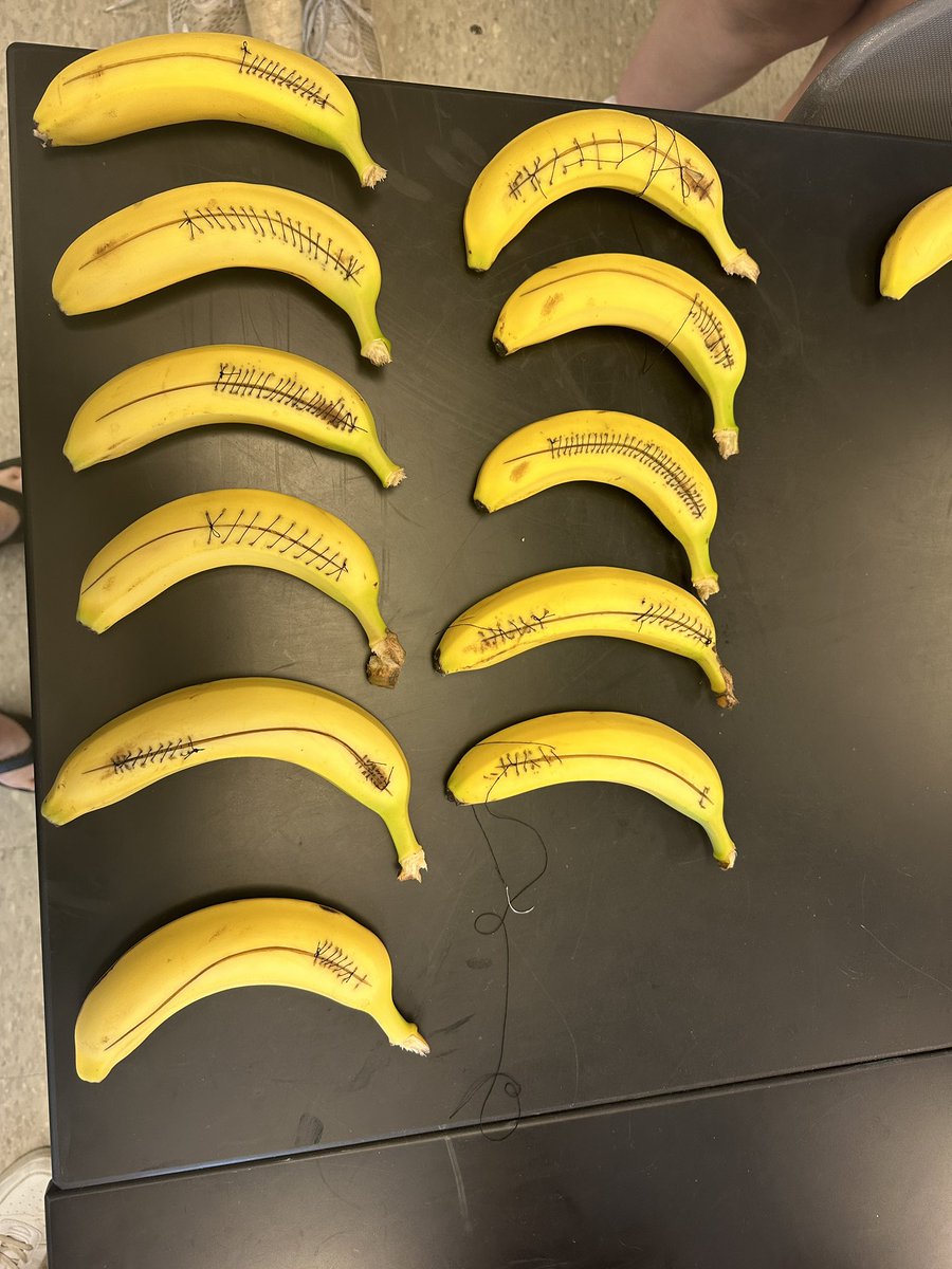 6th hour MI Suturing Contest, Congrats Lily!