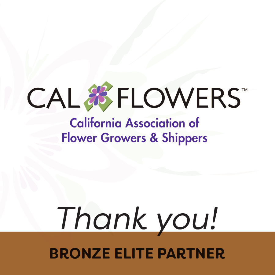 AIFDHqtrs's tweet photo. SYMPOSIUM BRONZE ELITE PARTNER THANK YOU:
Thank you to our Bronze Elite Partner CalFlowers! Without partners like you it would be impossible to make Symposium happen! https://t.co/QfgkRi1xaB
#proudtobeaifd #partnerprops #AIFD2023GROW https://t.co/PtiYtrai8j