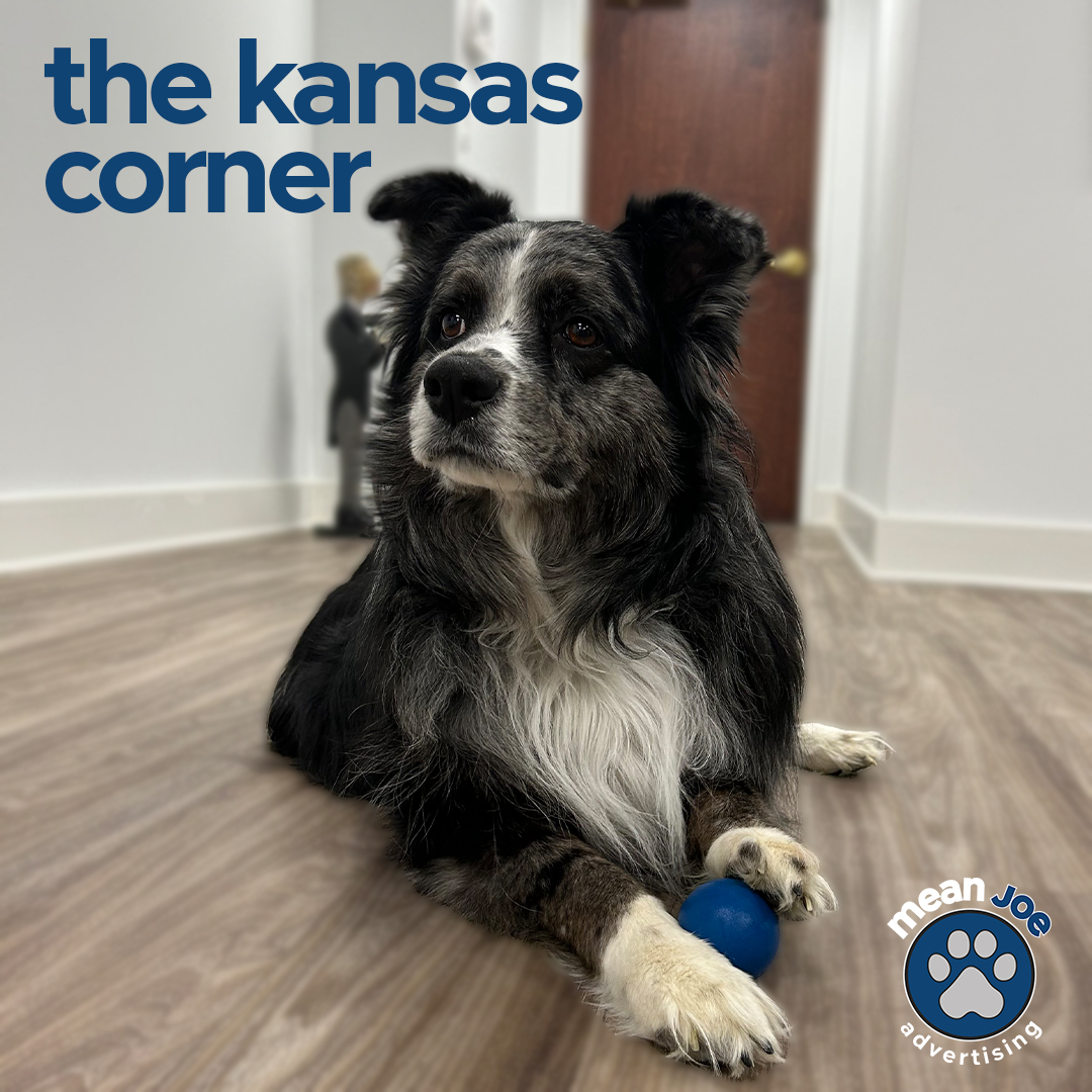 meanjoead's tweet image. finding the right agency can be ruff, but don't worry! we'll take the time to sniff out your needs and create a partnership that's pawfectly tailored to you. my ball agrees, it's important to have a good fit!

#tailoredpartnership #supportivepartners