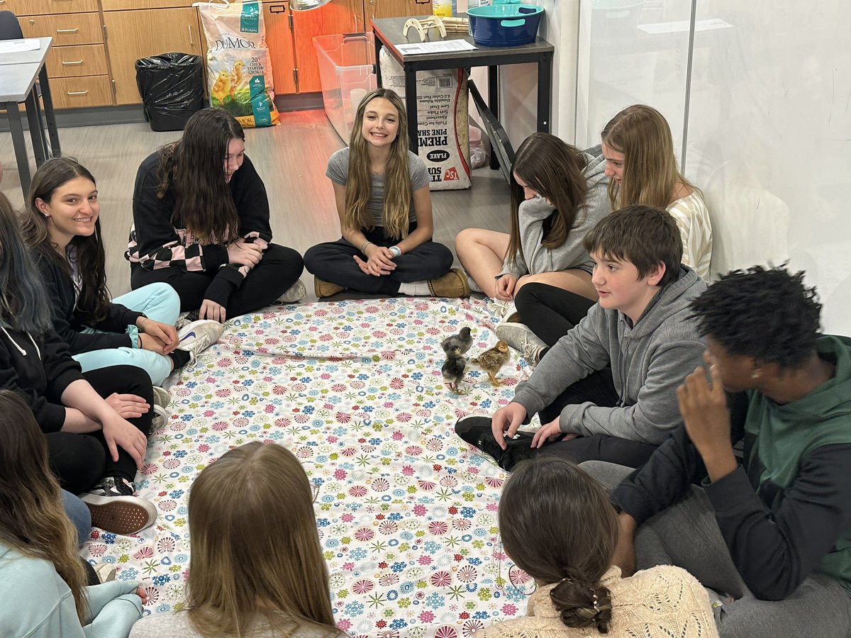 Chicken circle day!!! <a href="/CerafinaG/">Cerafina Gotto</a> <a href="/n_pappagallo/">Natalie Pappagallo</a> <a href="/TallmadgeMiddle/">Tallmadge MS</a>