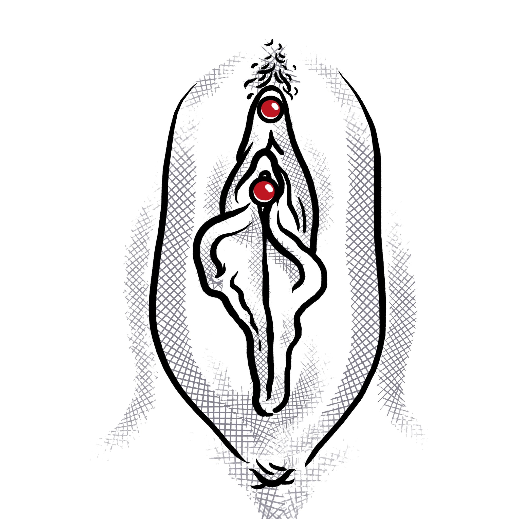 I'm going to get my clit pierced soon! All donations will be rewarded! Message me for details! #vch #piercing #clit https://t.co/9hn8WCfDA0