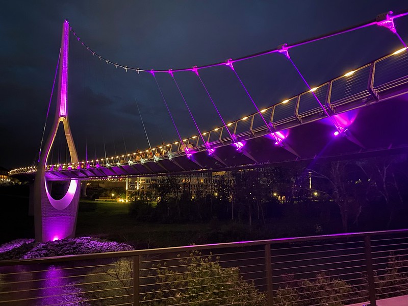DublinOhio's tweet image. Have you heard of Eosinophils? 🧐

The Dublin Link will glow magenta tonight for National Eosinophil Awareness Week. 🌉

@APFEDorg has all the resources you need to stay informed ➡️ apfed.org/neaw

#NEAW #EosAware #DublinOhio