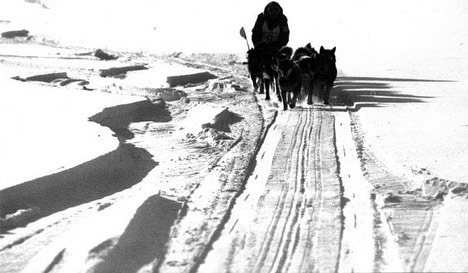 humanemushing's tweet photo. (Translated by Google) Employees of the Kinological Scientific and Applied Enterprise (Kinos) created in Kamchatka (Beringia-91), "Boris and Oleg Shirokiye and Nikolay Nosov) were already engaged in aboriginal and local hikes. Not only sled dogs that par… https://t.co/GJUwHMGijW https://t.co/KatGkL6yiP