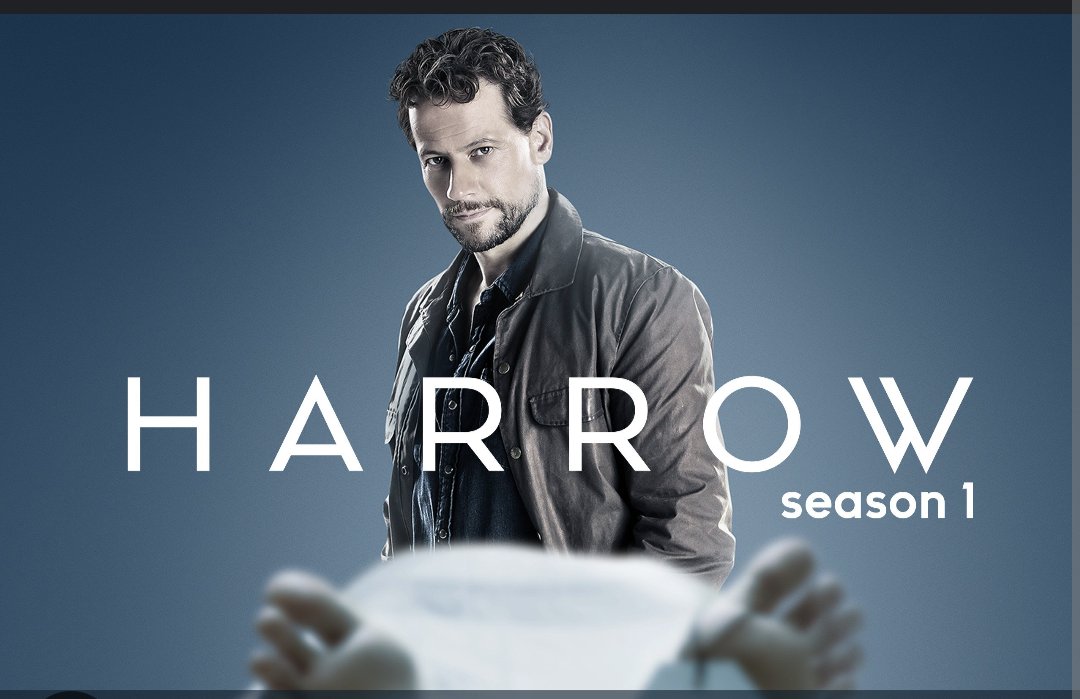 I've been watching Harrow on Hulu, though I think it's also available on other services. It's an Australian series and stars Welsh actor Ioan Gruffudd. He's a medical examiner (so it's not for the squeamish), but has a season-long mystery that's very well done.