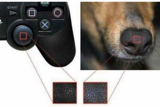 Coop⏱️ tweet media