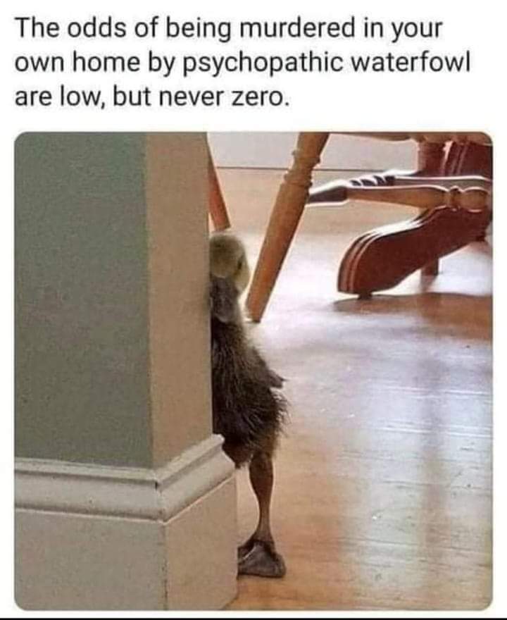 Old Man Z tweet media