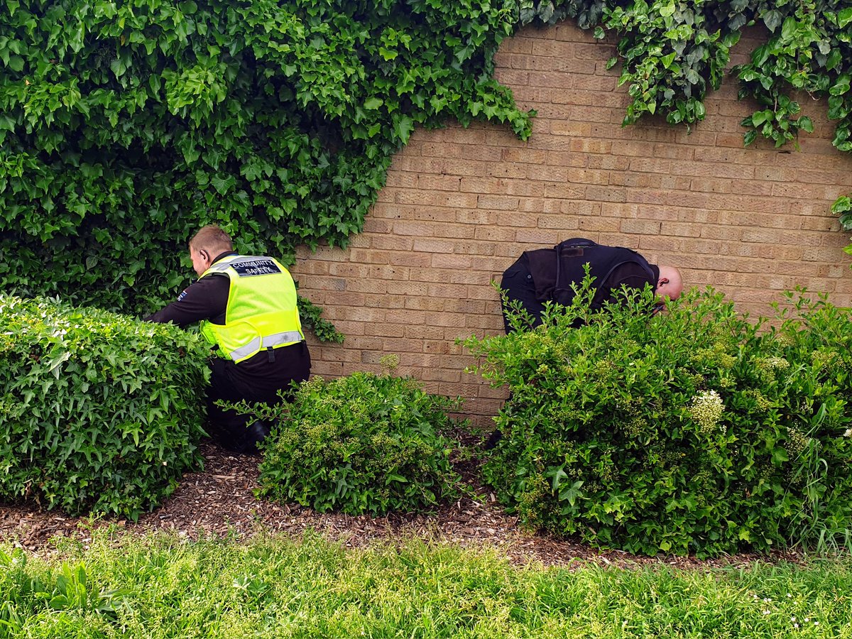Southend_CSP's tweet photo. Today Communtiy Safety Officers went out on patrol with Youth Engagement to #Shoeburyness
Whilst out on patrol they did some sweeps of hotspot areas for #OpSeptre week.
#SafeAndWell #Partnership https://t.co/34V3QZH8U5
