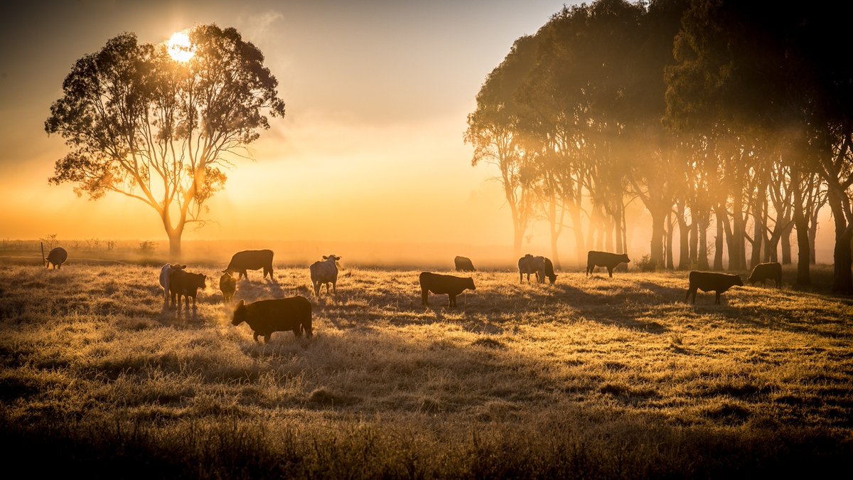 ARCWater's tweet photo. Do you own a farm or care for livestock?
Here at ARC Water in Londesborough we are proud to provide complete water treatment systems for all types of farms.
No matter how large or small... more at https://t.co/Q10dG0g82O https://t.co/gpUh9Xp68R