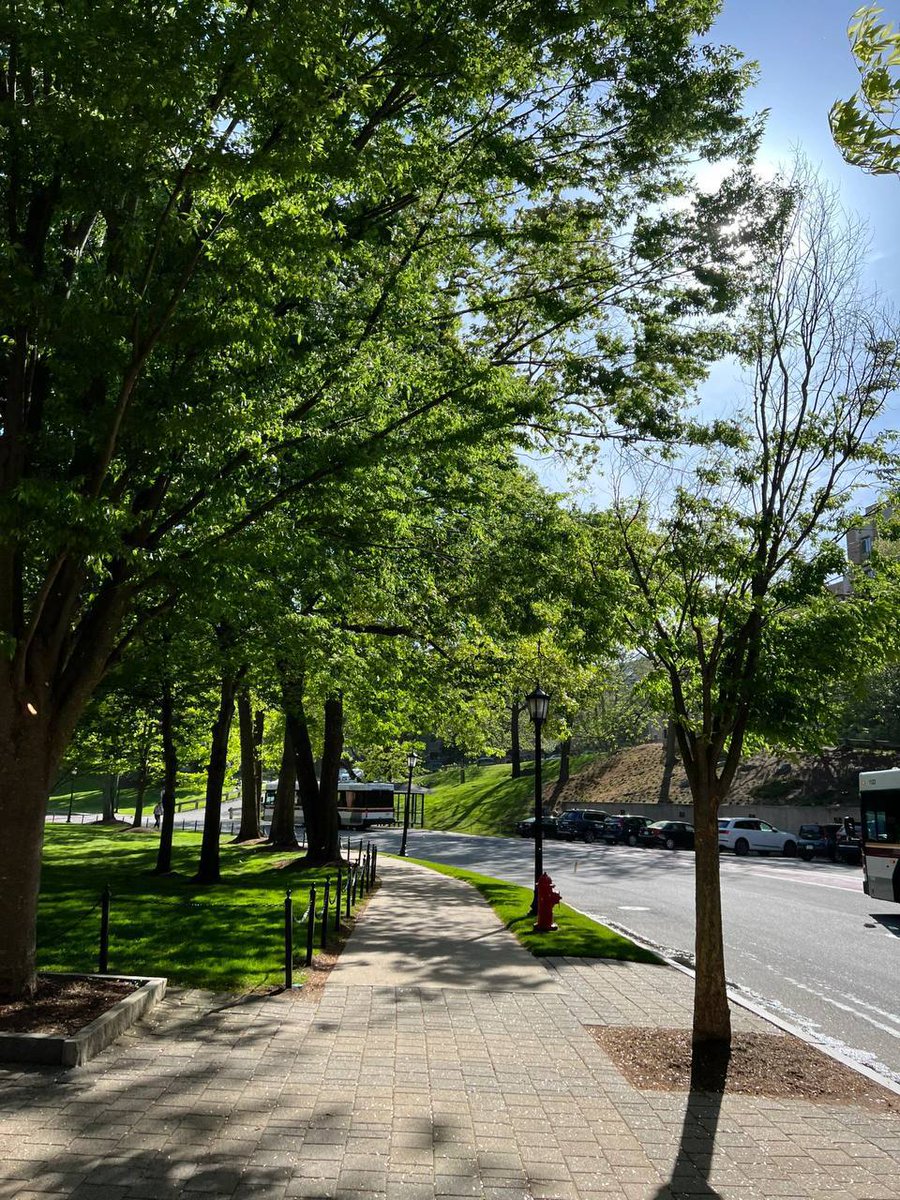 ConnorRaylee's tweet image. Everyone has someone in their life who makes them look forward to this day