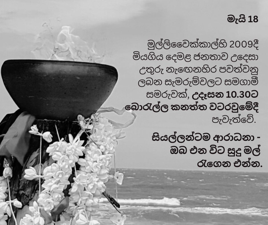 Shenu Perera 🇵🇸 tweet media