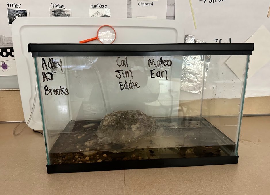 My students LOVE the tadpole observation station in my room.  Check out their names- if you know you know! <a href="/WestMeadeAACPS/">WestMeadeAACPS</a> <a href="/AACountySchools/">AACPS</a> <a href="/Orioles/">Baltimore Orioles</a>
