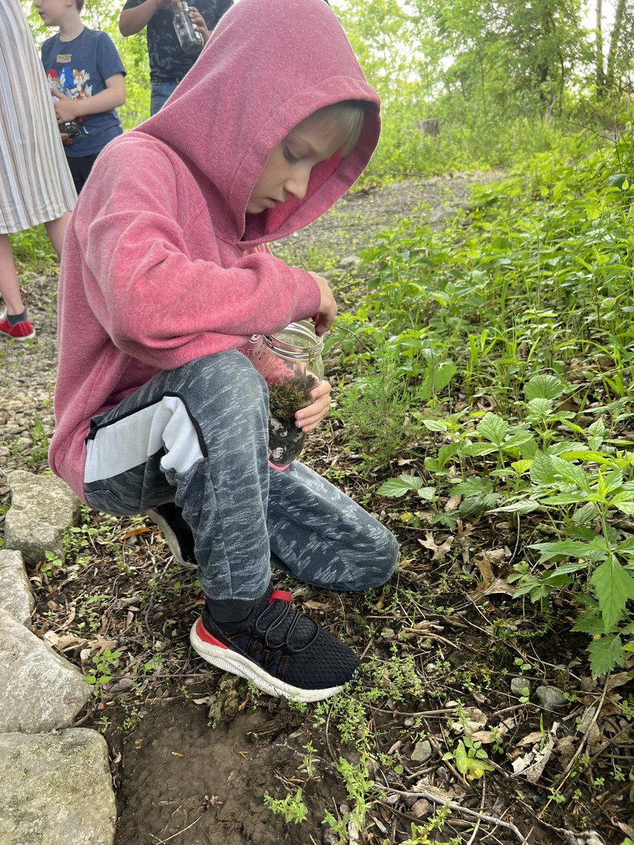 Amanda Ruyle tweet media