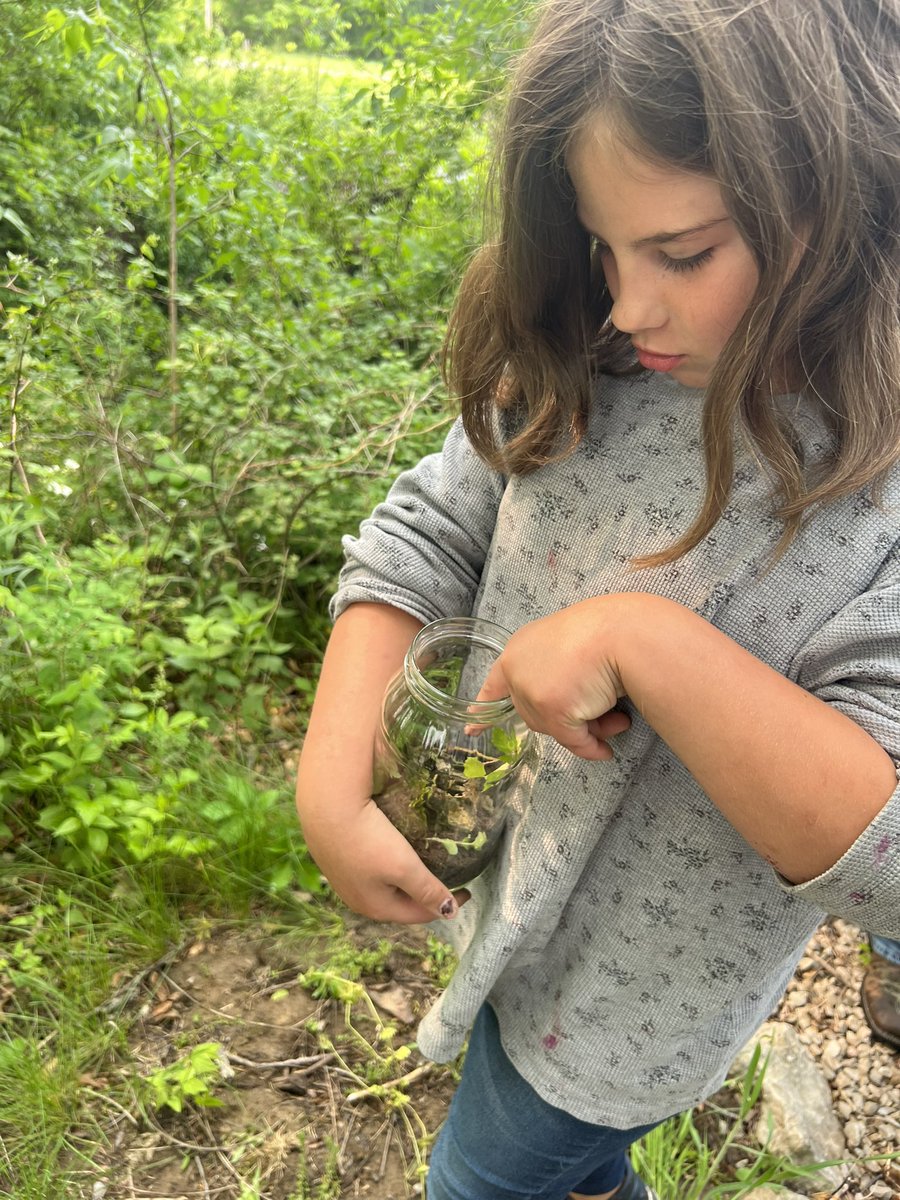 Amanda Ruyle tweet media