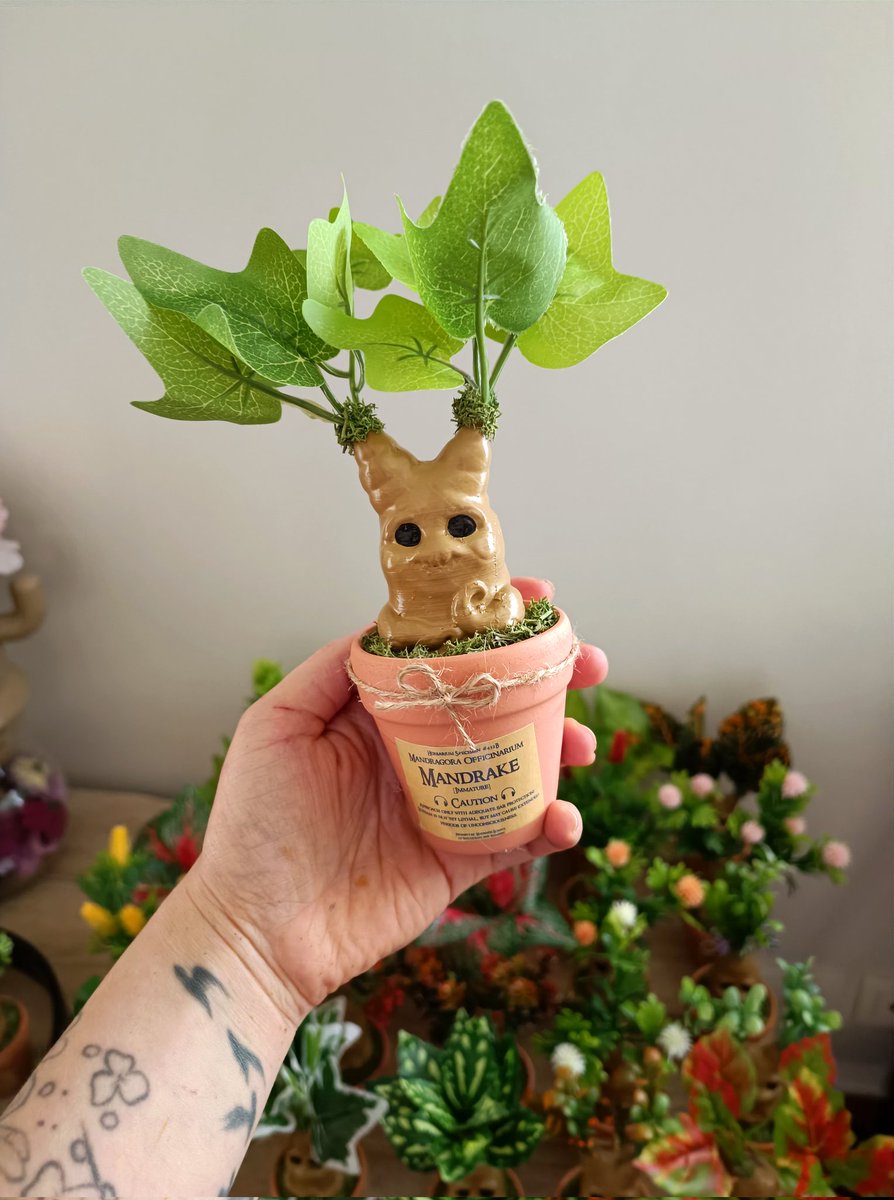 lymia.art tweet media