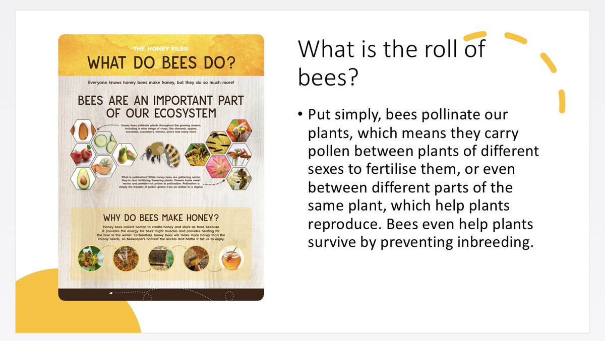 One last post from us!! Our Art students were doing a project on bees which linked in with our meter of meadow and SDG15 life on land! <a href="/Take1_Programme/">Take 1 Programme</a> #maydayforsustainability23
