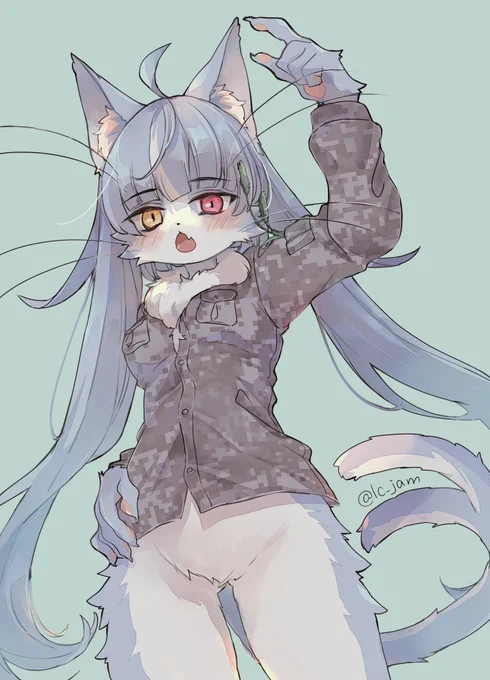 第にゃーにゃー警隊所属 #御前崎分屯基地 #おまねこ