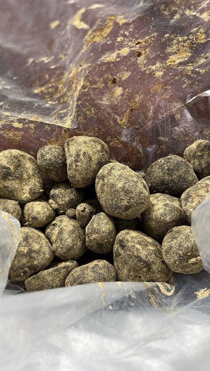 LiviaOscar7351's tweet photo. Where my Moonrocks lovers atπ?
Special deals on this π₯π₯΅
Tap in with your deliveryπ details
#420community #cannabis #Weedmob
#Stoners #smokify #ifbeerislegalcannabisshould #stonernation https://t.co/pmafyHK4xh
