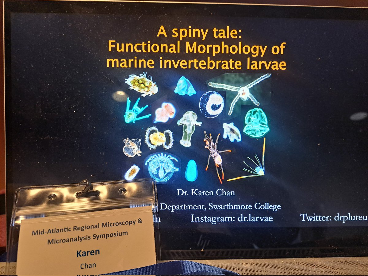 Karen Chan tweet media