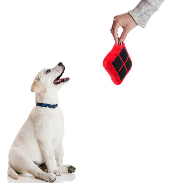 dealgenius_com's tweet photo. Check out today's #dailydeals! Head over to #dealgenius.com to pick up one of these great items! https://t.co/kJFdvHeEh0🧪 https://t.co/Pk475cFHJ3