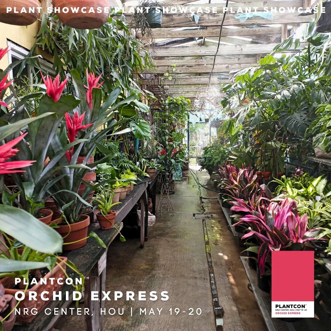 Orchid Express will be at Plantcon this Friday and Saturday! The shop will also be open! Come see us at either NRG Center or Orchid Express for some incredible plants, orchids, tropicals, and more! 
#houston #orchids  #rareplants #exoticplants #love #plant