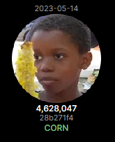 𝓛𝓾𝓪 tweet media