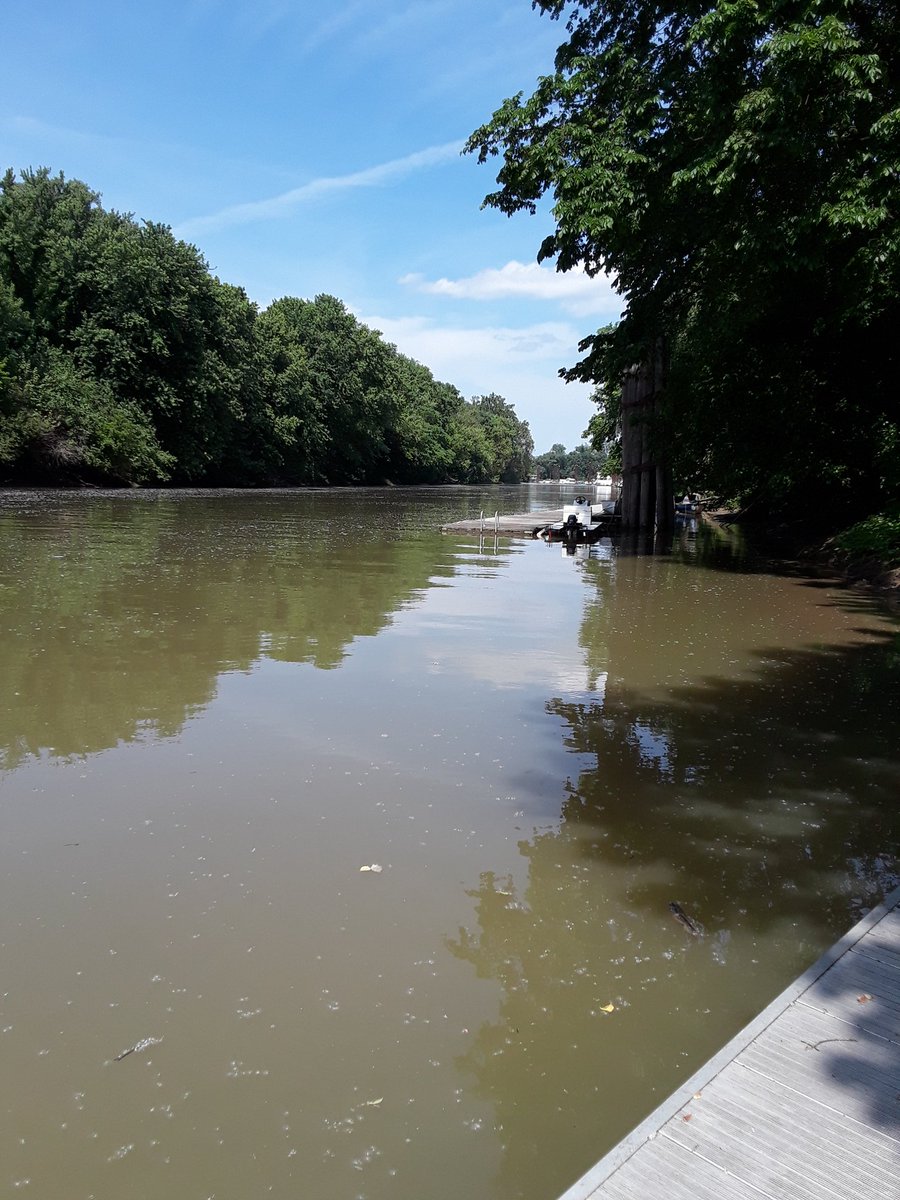 N4JAW's tweet photo. It's a Goldilocks kind of day along the #lewisandclarknationalhistorictrail on the #ohioriver in KY for today's #parksontheair #pota #amateurradio #hamradio #cw #morsecode #qrpradio #ft817 #randomlengthwireantenna activation https://t.co/DfALK4NG9g