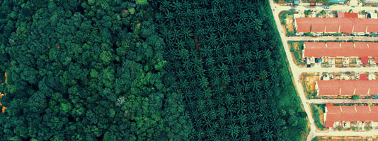 GlobalLandP's tweet photo. GLP Webinar on MONDAY: The #telecoupled implications of EU’s new regulation on #deforestation-free supply chains, with Almut Schilling-Vacaflor, @MaironGBL, and Armando Valdés-Velasquez. 5/22 at 1:30 p.m. UTC. More and register: https://t.co/525T3jGO9M https://t.co/W3KF0NN5at