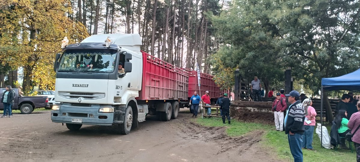 Gracias a las gestiones del alcalde Ricardo Jaramillo Galindo, a través de la PRODER, se entregaron alrededor de 90 de terneras, en convenio con la Lechería Manuka, las cuales continuaran las próximas semanas.

#Lautaro #Araucanía