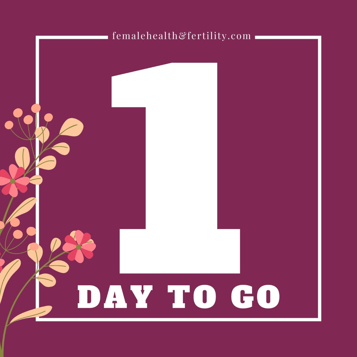 Female Health & Fertility tweet media