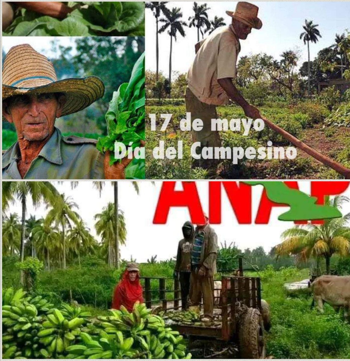 María Del Carmen tweet media