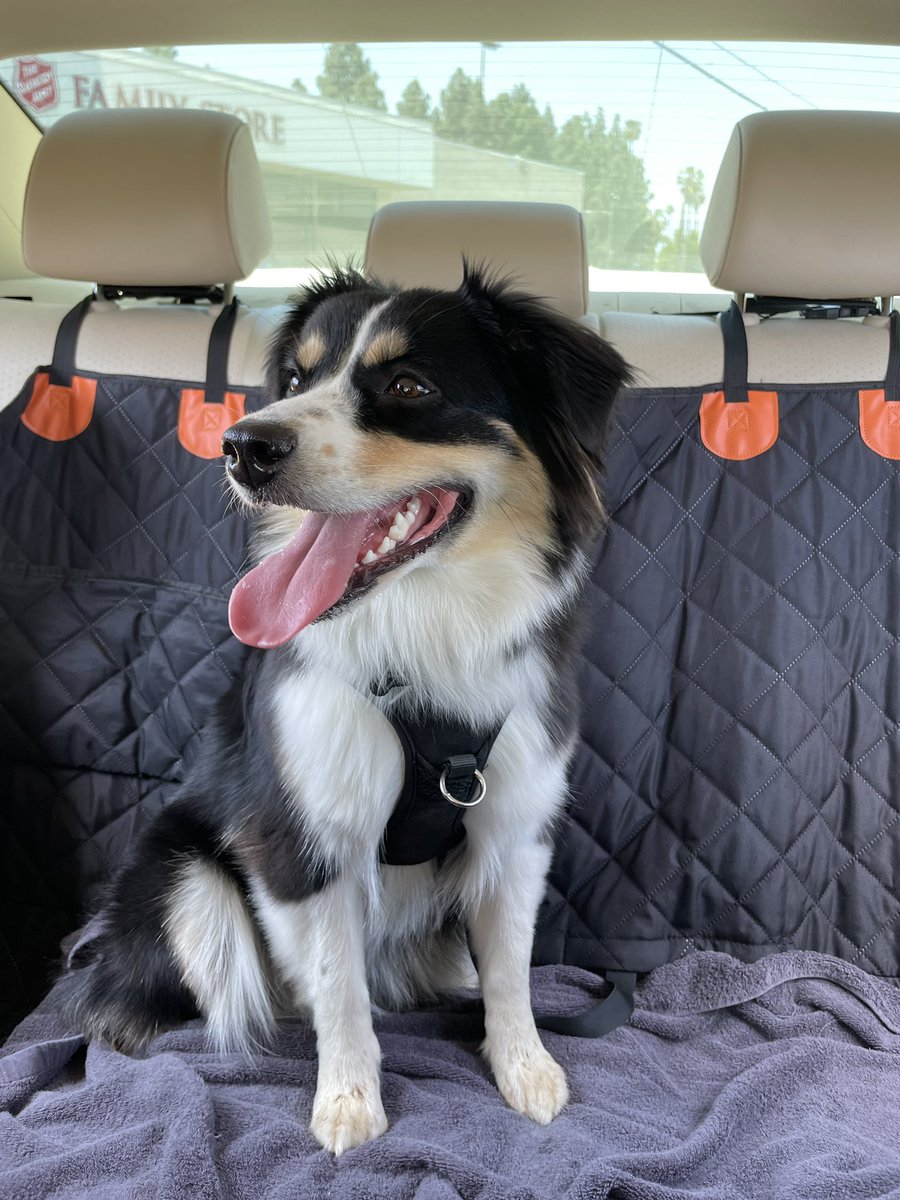 Before the park | After the park