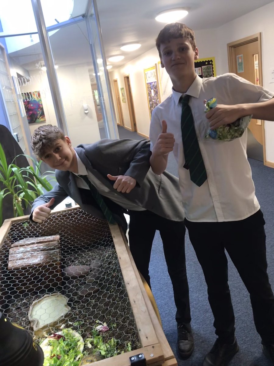 Sam and Freddie have been looking after Ollie the tortoise in Mrs D’s absence. 🐢