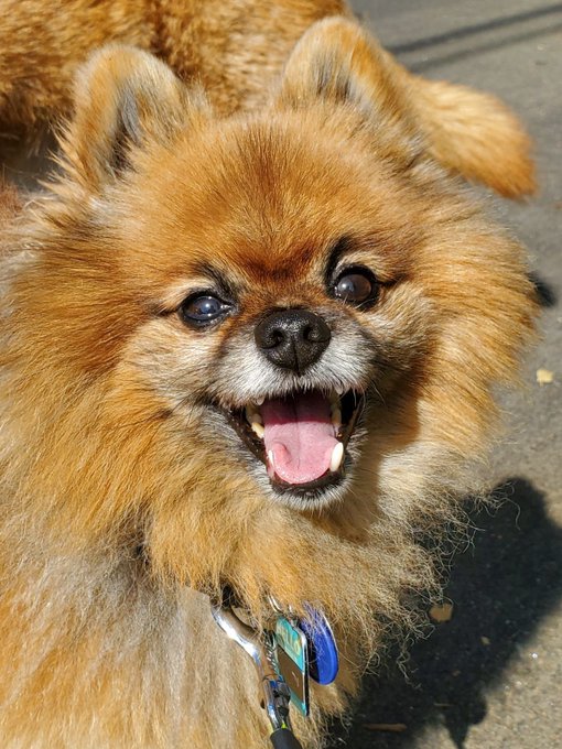 This face brings me joy 🥹 #Kodithestud https://t.co/WHmFkrQ3Ng<a href="/tag/kodithestud"class="tags">#Kodithestud</a>