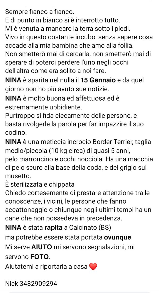 facebook.com/nickeverett82/…  ATTENZIONE SMARRITA 🆘🆘🆘🆘☎𝟯𝟰𝟴𝟮𝟵𝟬𝟵𝟮𝟵𝟰
𝗥𝗶𝗰𝗼𝗺𝗽𝗲𝗻𝘀𝗮 di 𝟭𝟬𝟬𝟬€ a chiunque riconsegna.
𝗡𝗜𝗡𝗔 è scomparsa il 15 Gennaio a Calcinato (BS)meticcia incrocio Border Terrier #4voiceless CONDIVIDETE