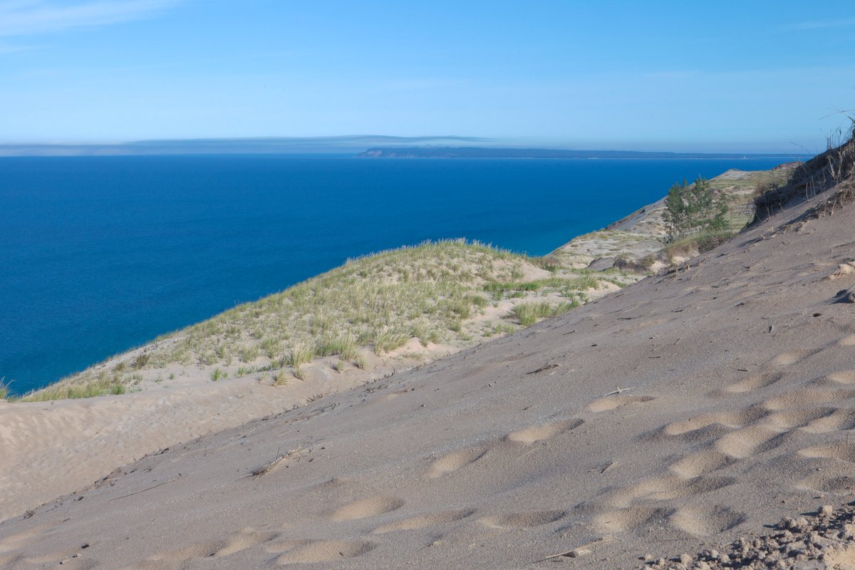 Shedd Aquarium tweet media