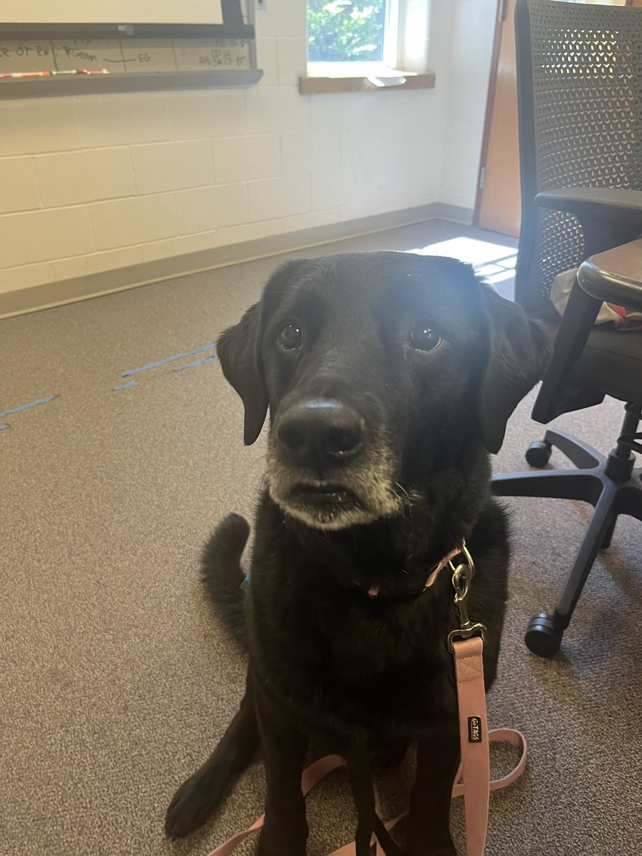 Maggie enjoyed her pizza party with her Markham EFLS experience winners today, even though she was only allowed to have watermelon and blueberries!