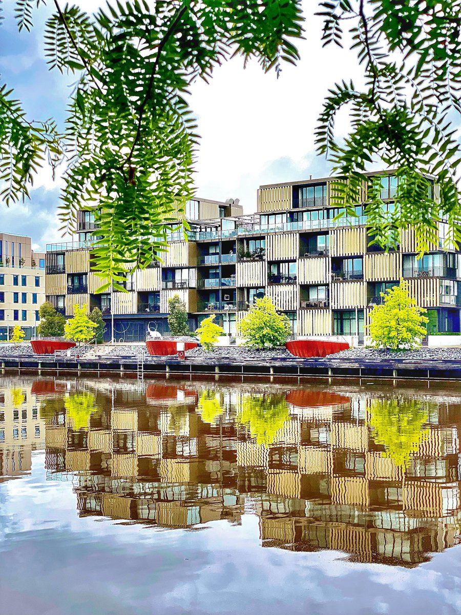 Trisha Barraclough tweet media