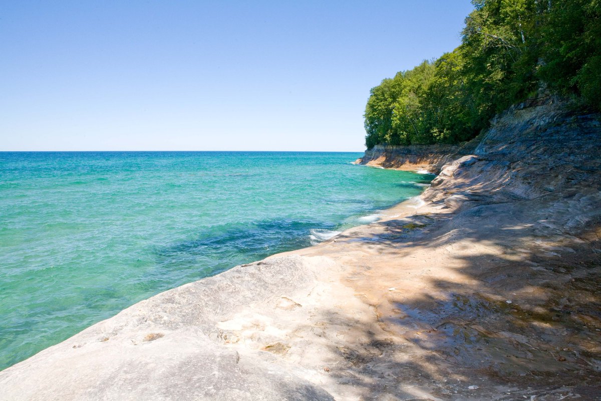 Shedd Aquarium tweet media