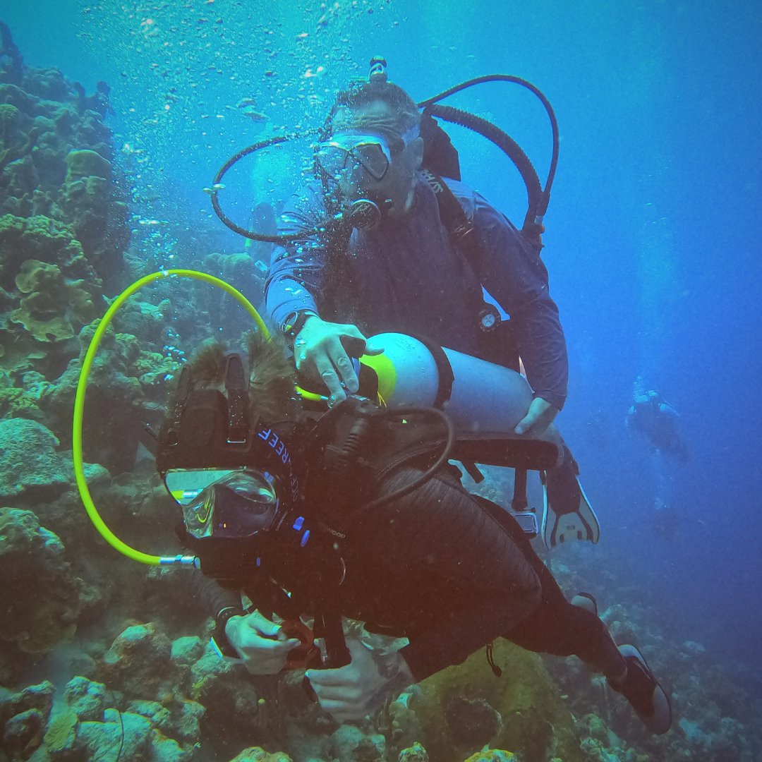 Beneath the surface lies a world of enchantment. Dive in and discover its magic. ✨🐙

#seekadventure #scubadiving #divetravel