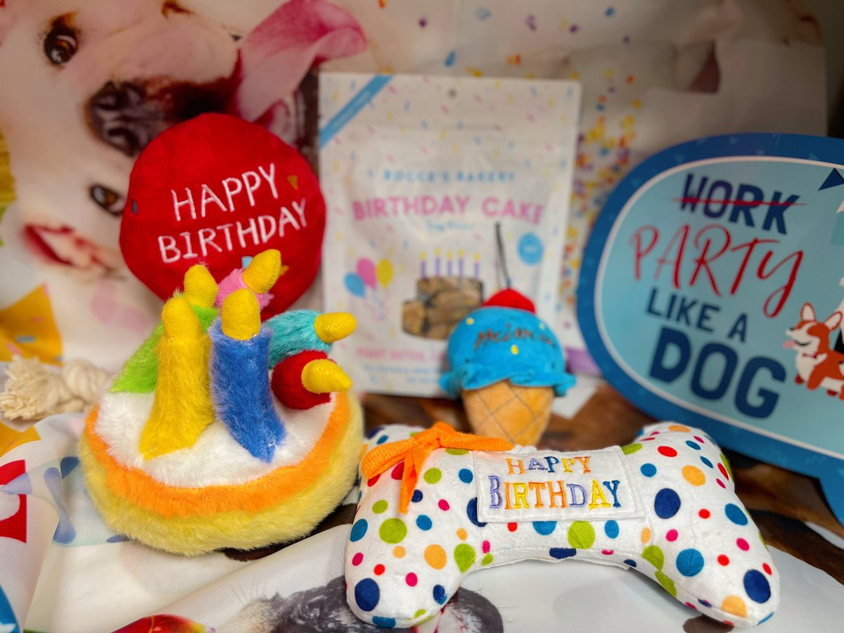forevervetsani1's tweet photo. We can’t stop the PAWTY🎶🎂🎉🐶
Now introducing a #newservicealert🚨 here at our Pet Resorts! Proudly introducing…Birthday PAWTIES for your pup and all their furry friends🥳
Interested learning more? DM us and we will send you the proper 🔗 to book! 🎈 https://t.co/cvpNv3WNdI