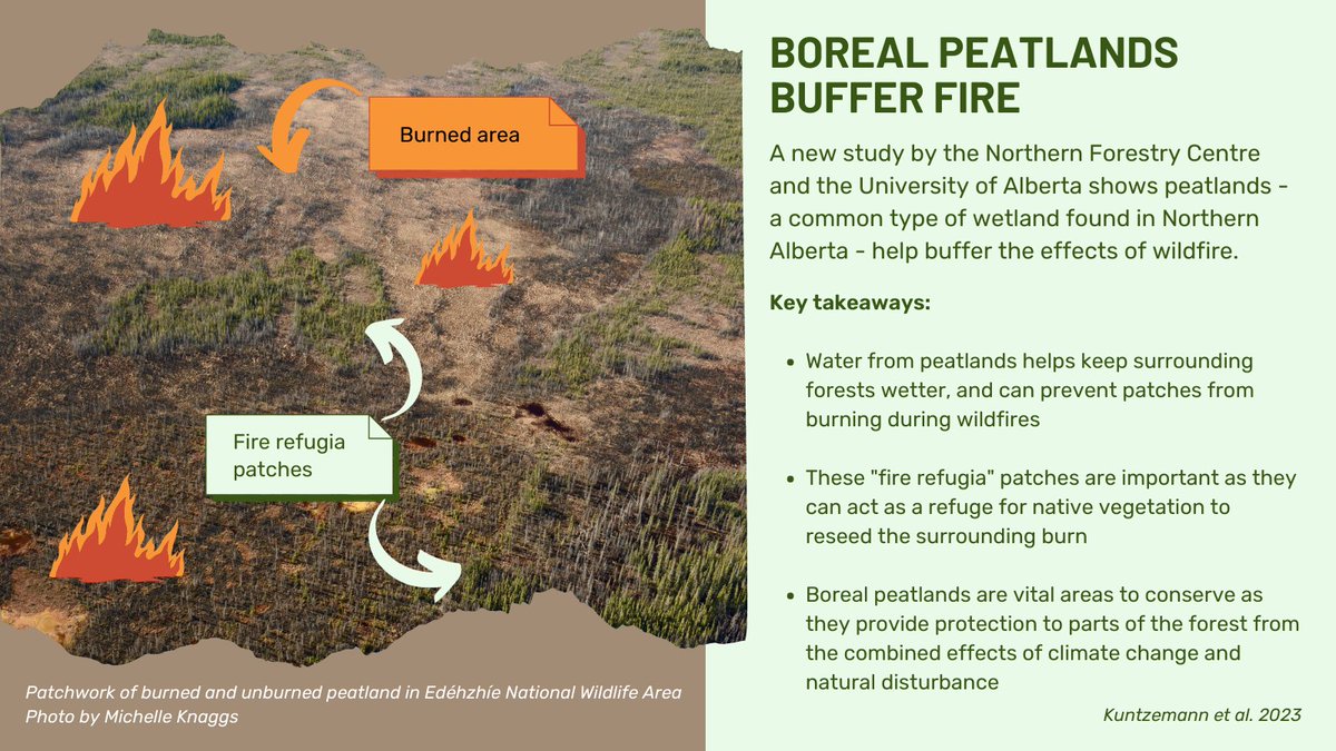 New research: boreal peatlands help buffer the effects of wildfire in Northern Alberta. This work underscores the importance of conserving #peatlands, which have many other benefits including carbon storage.

Open access: esajournals.onlinelibrary.wiley.com/doi/10.1002/ec…

#SciComm #wildfire #ABwildfire