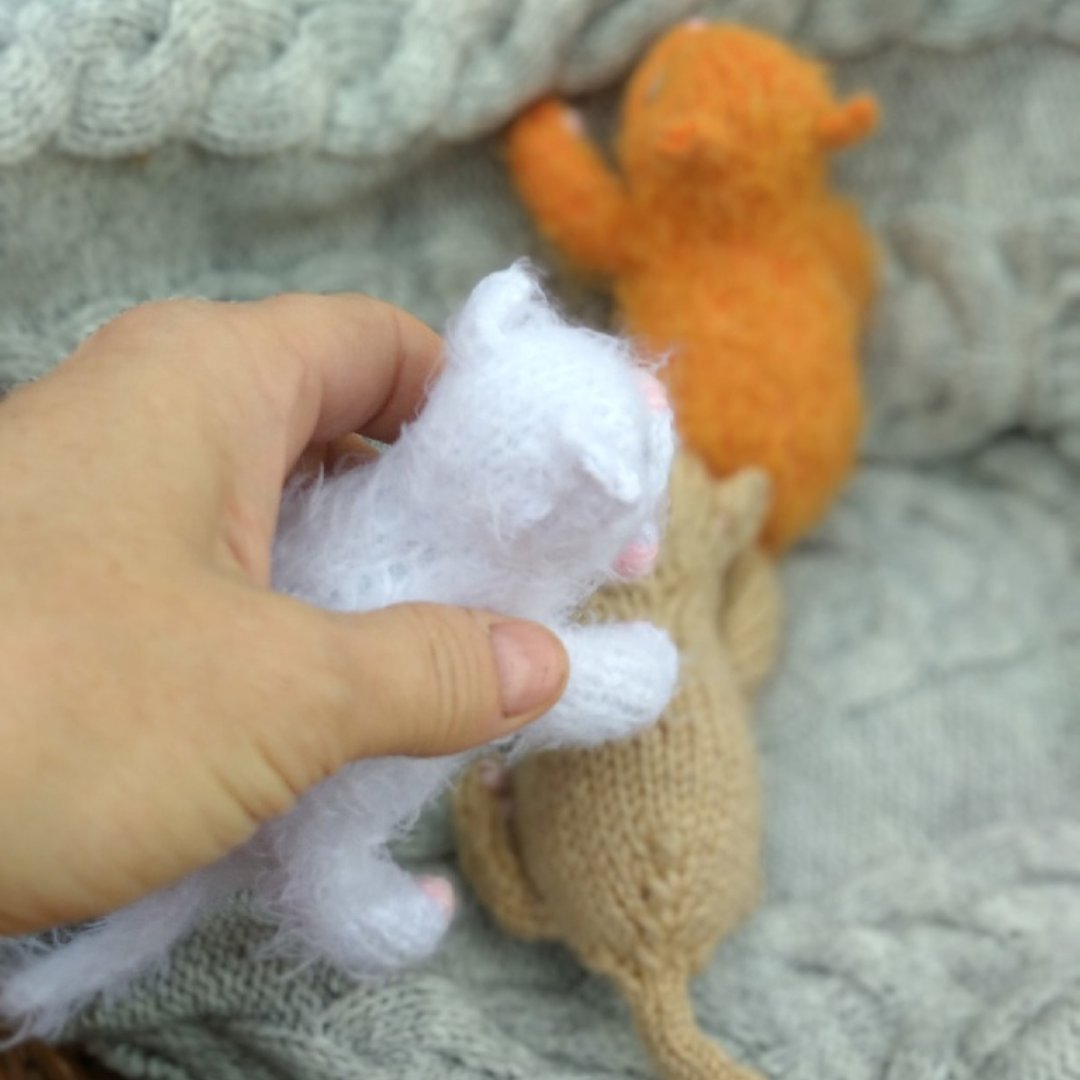 oslopovaola's tweet photo. My cute kittens will make you smile!!!
https://t.co/YQo7fe8V0O
#knittingpattern #knittingtoys #patterncat #knittingtoy #catpattern #toydolls #catcrochet #catamigurumi #crochetcat #cattoy #amigurumicat #crochetkitty #crochetkitten #knittedanimals #knittedamigurumi #toypattern https://t.co/cItKsDMPKa