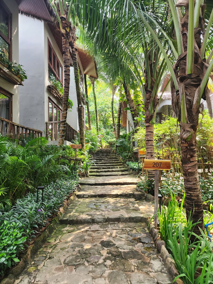 EDKALE69's tweet photo. The beauty of Phu Quoc , lets me guide you to explore this island !! https://t.co/SgBiJv1hzC