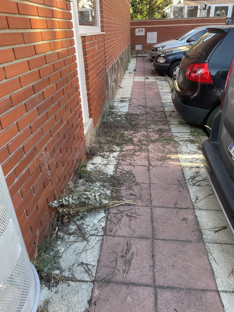 lauramurestudio's tweet photo. @aytosanandres las malas hierbas y la suciedad se acumulan en el municipio, hace meses que nos vemos ni un barrendero por Jesús Torbado https://t.co/dvroLwHbER